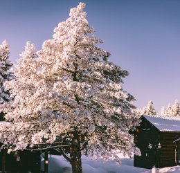 Туры в Бурсу 2025 - цены на путевки в Турцию из Москвы от туроператора «Пегас Туристик»