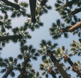 Туры в Измир 2025 - цены на путевки в Турцию из Москвы от туроператора «Пегас Туристик»