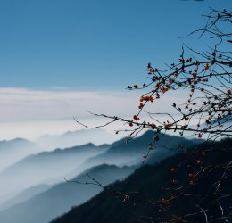 Туры в Картепе 2025 - цены на путевки в Турцию из Москвы от туроператора «Пегас Туристик»