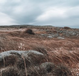 Туры в Чанаккале 2025 - цены на путевки в Турцию из Москвы от туроператора «Пегас Туристик» Туры в Чанаккале 2025 - цены на путевки в Турцию из Москвы от туроператора «Пегас Туристик»