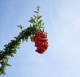 Туры в Витязево 2025 - цены на путевки по России из Москвы от туроператора «Пегас Туристик»