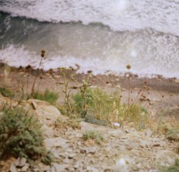 Туры в Витязево 2025 - цены на путевки по России из Москвы от туроператора «Пегас Туристик»