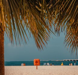 Туры Дубай-Сити (Дейра) 2025 - цены на путевки в ОАЭ из Москвы от туроператора «Пегас Туристик»