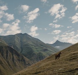 Туры на Кавказ 2025 - цены на путевки по России из Москвы от туроператора «Пегас Туристик»