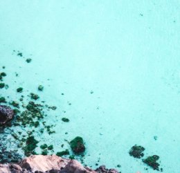 Туры в Плая-дель-Кармен 2025 - цены на путевки в Мексику из Москвы от туроператора «Пегас Туристик» Туры в Плая-дель-Кармен 2025 - цены на путевки в Мексику из Москвы от туроператора «Пегас Туристик»