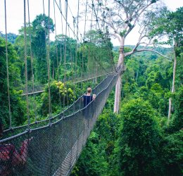 Туры на Побережье Одиссея 2025 - цены на путевки в Италию из Москвы от туроператора «Пегас Туристик»