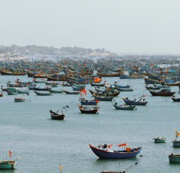 Туры  2025 - цены на путевки во Вьетнам из Москвы от туроператора «Пегас Туристик»