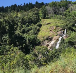 Туры на Шри Ланку 2025 из Москвы - цена на отдых от туроператора «Пегас Туристик» Туры на Шри Ланку 2025 из Москвы - цена на отдых от туроператора «Пегас Туристик»