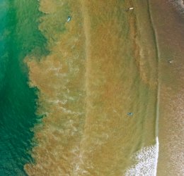 Туры на Шри Ланку 2025 из Москвы - цена на отдых от туроператора «Пегас Туристик» Туры на Шри Ланку 2025 из Москвы - цена на отдых от туроператора «Пегас Туристик»