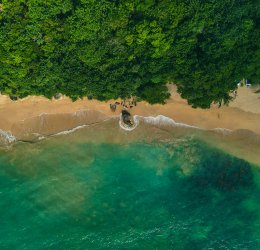 Туры в Бентоту 2025 - цены на путевки на Шри Ланку из Москвы от туроператора «Пегас Туристик»