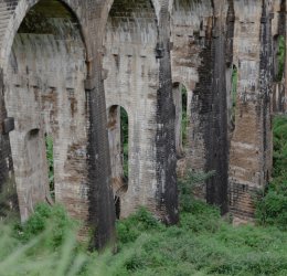 Туры в Бентоту 2025 - цены на путевки на Шри Ланку из Москвы от туроператора «Пегас Туристик»