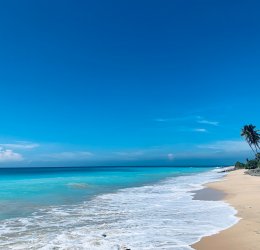 Туры в Коломбо 2025 - цены на путевки на Шри Ланку из Москвы от туроператора «Пегас Туристик» Туры в Коломбо 2025 - цены на путевки на Шри Ланку из Москвы от туроператора «Пегас Туристик»