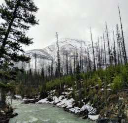 Туры  2025 - цены на путевки на Ямайку из Москвы от туроператора «Пегас Туристик»