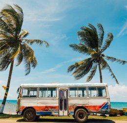 Туры 2025 - цены на путевки на Ямайку из Москвы от туроператора «Пегас Туристик» Туры 2025 - цены на путевки на Ямайку из Москвы от туроператора «Пегас Туристик»