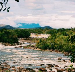 Туры в Дель Ориноко 2025 - цены на путевки в Венесуэлу из Москвы от туроператора «Пегас Туристик» Туры в Дель Ориноко 2025 - цены на путевки в Венесуэлу из Москвы от туроператора «Пегас Туристик»