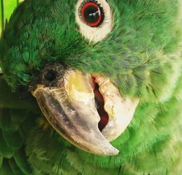 Туры в Каракас 2025 - цены на путевки в Венесуэлу из Москвы от туроператора «Пегас Туристик» Туры в Каракас 2025 - цены на путевки в Венесуэлу из Москвы от туроператора «Пегас Туристик»