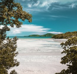 Экскурсионные туры