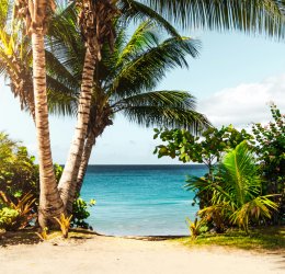 Школьные каникулы Школьные каникулы