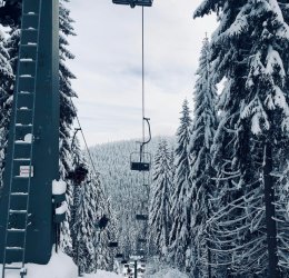 Горнолыжные туры