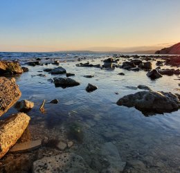 Туры в Балчик 2025 - цены на путевки в Болгарию из Москвы от туроператора «Пегас Туристик»