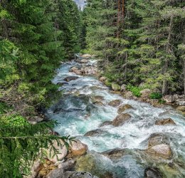 Туры в Банско 2025 - цены на путевки в Болгарию из Москвы от туроператора «Пегас Туристик» Туры в Банско 2025 - цены на путевки в Болгарию из Москвы от туроператора «Пегас Туристик»