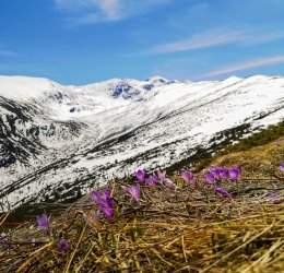 Туры в Боровец 2025 - цены на путевки в Болгарию из Москвы от туроператора «Пегас Туристик»