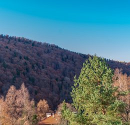 Туры в Приморско 2025 - цены на путевки в Болгарию из Москвы от туроператора «Пегас Туристик» Туры в Приморско 2025 - цены на путевки в Болгарию из Москвы от туроператора «Пегас Туристик»