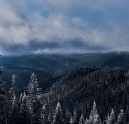 Туры в Пампорово 2025 - цены на путевки в Болгарию из Москвы от туроператора «Пегас Туристик» Туры в Пампорово 2025 - цены на путевки в Болгарию из Москвы от туроператора «Пегас Туристик»