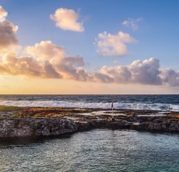 Туры в Ривьеру 2025 - цены на путевки в Болгарию из Москвы от туроператора «Пегас Туристик» Туры в Ривьеру 2025 - цены на путевки в Болгарию из Москвы от туроператора «Пегас Туристик»