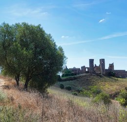 Туры на о. Закинф 2025 - цены на путевки в Грецию из Москвы от туроператора «Пегас Туристик»