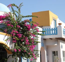 Туры на Родос 2025 - цены на путевки в Грецию из Москвы от туроператора «Пегас Туристик»