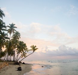 Туры в Доминикану 2025 из Москвы - цена на отдых от туроператора «Пегас Туристик» Туры в Доминикану 2025 из Москвы - цена на отдых от туроператора «Пегас Туристик»