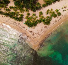 Туры в Хуан Долио 2025 - цены на путевки в Доминикану из Москвы от туроператора «Пегас Туристик» Туры в Хуан Долио 2025 - цены на путевки в Доминикану из Москвы от туроператора «Пегас Туристик»