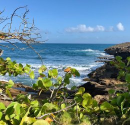 Туры в Пуэрто Плата 2025 - цены на путевки в Доминикану из Москвы от туроператора «Пегас Туристик»