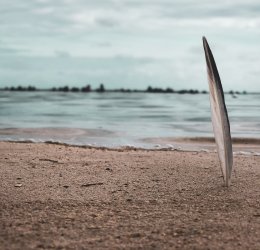 Туры в Санто Доминго 2025 - цены на путевки в Доминикану из Москвы от туроператора «Пегас Туристик» Туры в Санто Доминго 2025 - цены на путевки в Доминикану из Москвы от туроператора «Пегас Туристик»