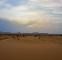 Туры в Табу 2025 - цены на путевки в Египет из Москвы от туроператора «Пегас Туристик»