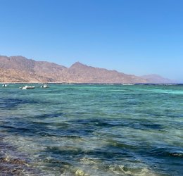 Туры в Дахаб 2025 - цены на путевки в Египет из Москвы от туроператора «Пегас Туристик» Туры в Дахаб 2025 - цены на путевки в Египет из Москвы от туроператора «Пегас Туристик»