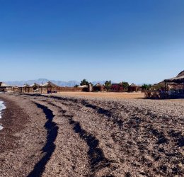 Туры в Нувейбу 2025 - цены на путевки в Египет из Москвы от туроператора «Пегас Туристик»