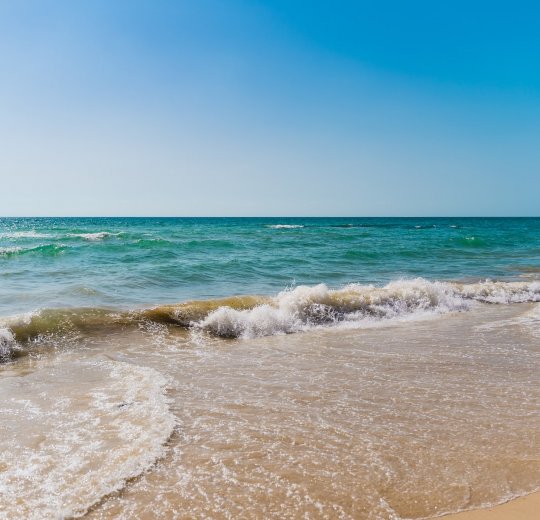 Туры в Нетанию 2025 - цены на путевки в Израиль из Москвы от туроператора «Пегас Туристик» Туры в Нетанию 2025 - цены на путевки в Израиль из Москвы от туроператора «Пегас Туристик»