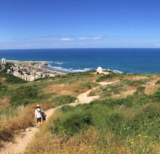 Туры в Хайфу 2025 - цены на путевки в Израиль из Москвы от туроператора «Пегас Туристик» Туры в Хайфу 2025 - цены на путевки в Израиль из Москвы от туроператора «Пегас Туристик»