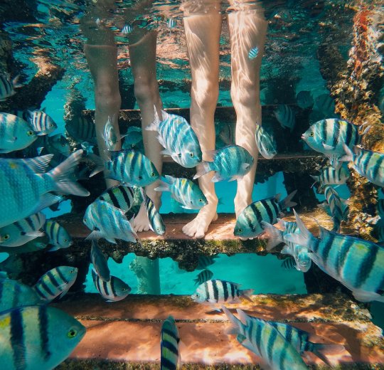 Туры в Эйлат 2025 - цены на путевки в Израиль из Москвы от туроператора «Пегас Туристик» Туры в Эйлат 2025 - цены на путевки в Израиль из Москвы от туроператора «Пегас Туристик»