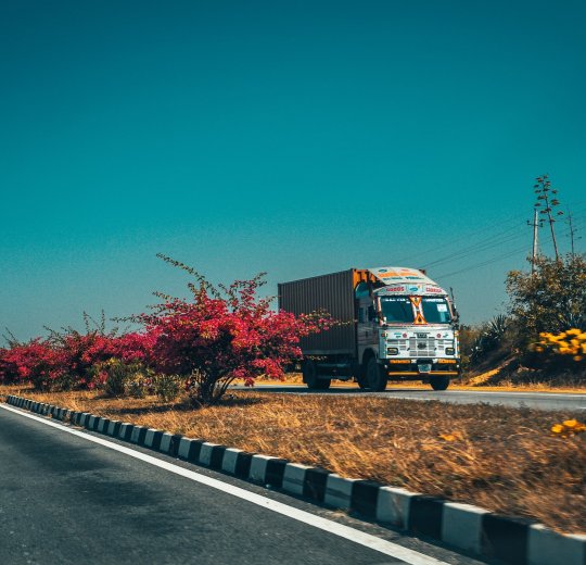 Туры в Бангалор 2025 - цены на путевки в Индию из Москвы от туроператора «Пегас Туристик»