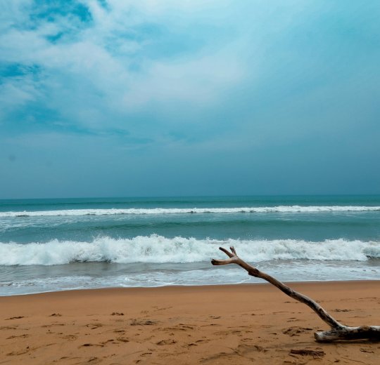 Туры в Ченнай 2025 - цены на путевки в Индию из Москвы от туроператора «Пегас Туристик»