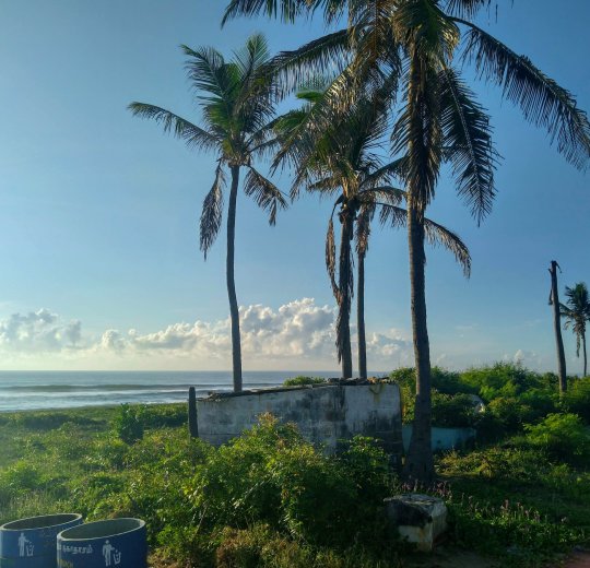 Туры в Ченнай 2025 - цены на путевки в Индию из Москвы от туроператора «Пегас Туристик»