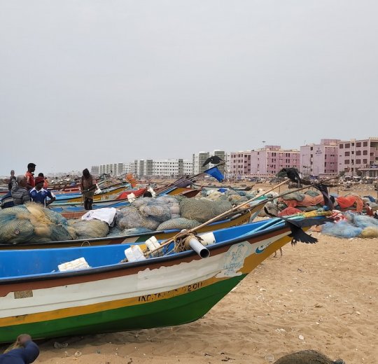 Туры в Ченнай 2025 - цены на путевки в Индию из Москвы от туроператора «Пегас Туристик»