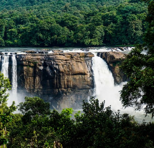 Туры в Кералу 2025 - цены на путевки в Индию из Москвы от туроператора «Пегас Туристик» Туры в Кералу 2025 - цены на путевки в Индию из Москвы от туроператора «Пегас Туристик»