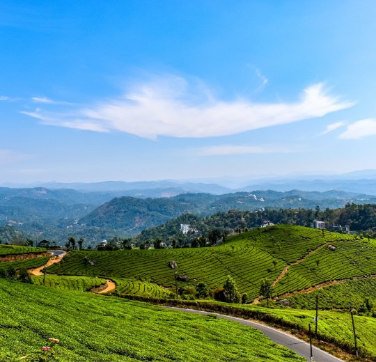 Туры в Кералу 2025 - цены на путевки в Индию из Москвы от туроператора «Пегас Туристик» Туры в Кералу 2025 - цены на путевки в Индию из Москвы от туроператора «Пегас Туристик»