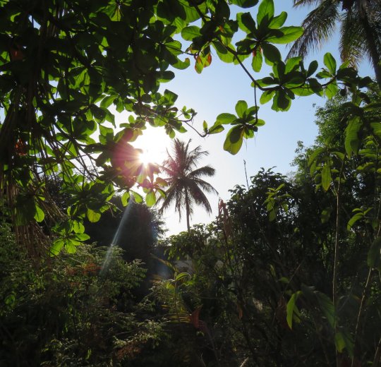 Туры в Махараштру 2025 - цены на путевки в Индию из Москвы от туроператора «Пегас Туристик»