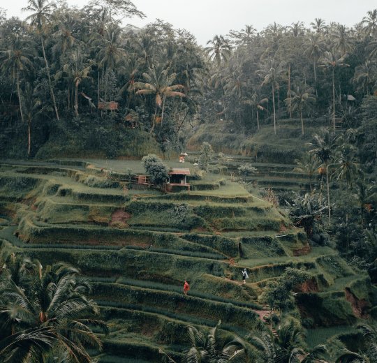 Туры на о. Бали 2025 - цены на путевки в Индонезию из Москвы от туроператора «Пегас Туристик»