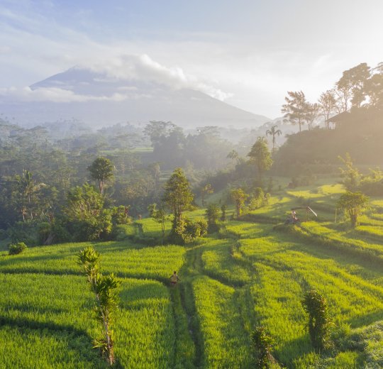 Туры на о. Бали 2025 - цены на путевки в Индонезию из Москвы от туроператора «Пегас Туристик»